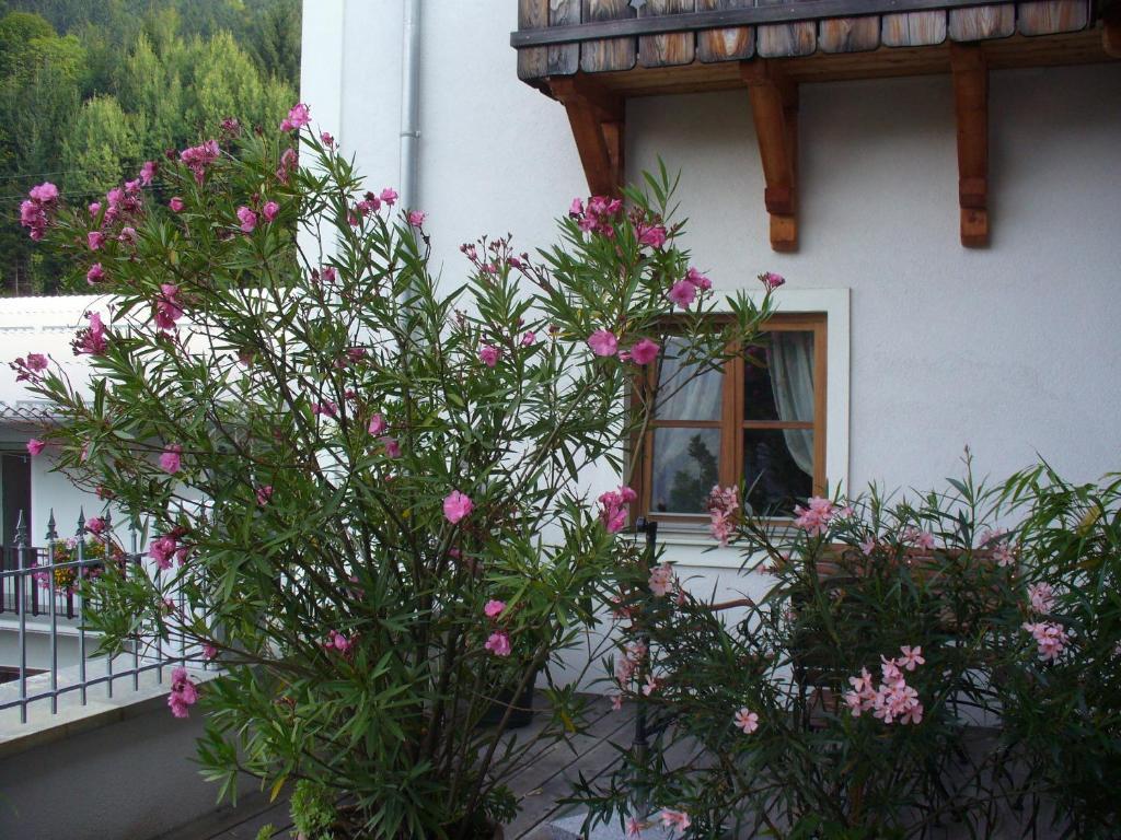 Mitschighof - Apartments Und Pension - Heidis-Welt, Mitschig Hermagor-Pressegger See Habitación foto