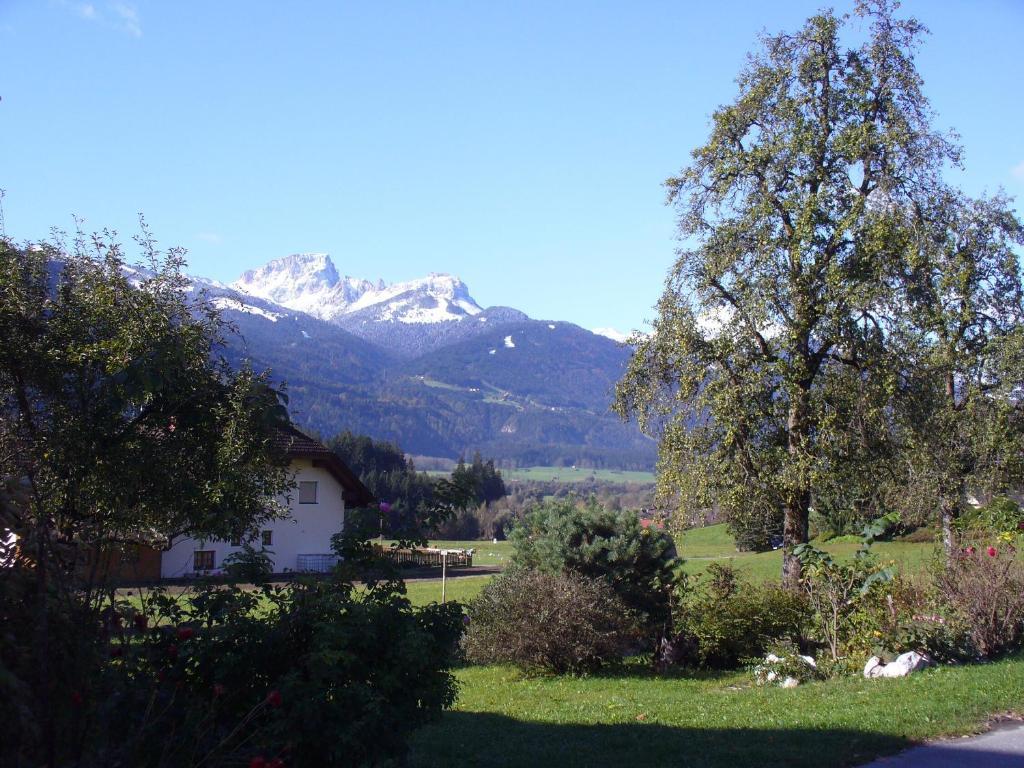 Mitschighof - Apartments Und Pension - Heidis-Welt, Mitschig Hermagor-Pressegger See Exterior foto