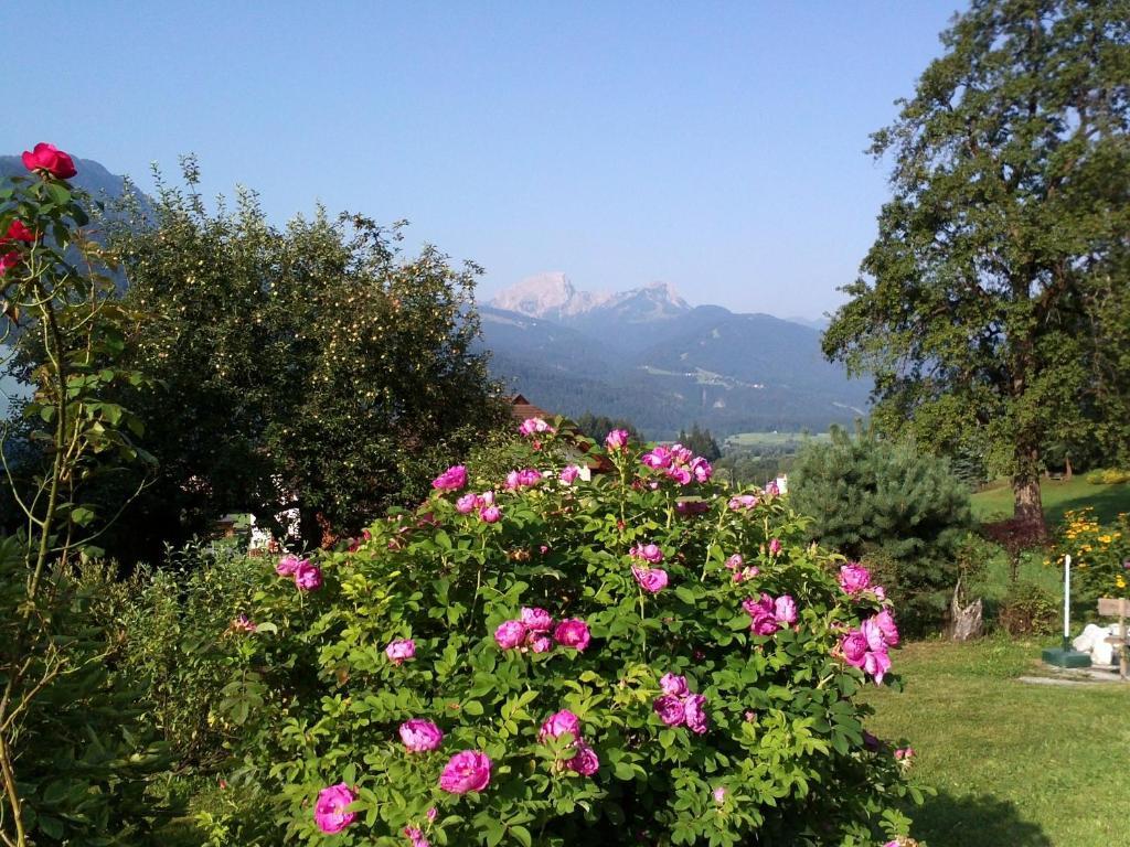 Mitschighof - Apartments Und Pension - Heidis-Welt, Mitschig Hermagor-Pressegger See Exterior foto